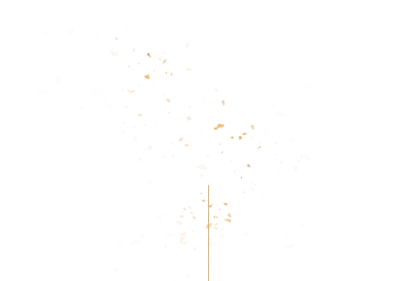 おいしさが詰まった宝石箱至福のちらし寿司